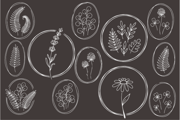 Botanical Floral Line Art Frames Bundle for Graphics and Illustrations