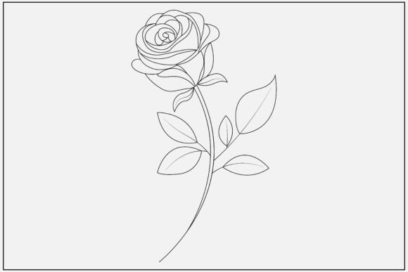 Rose Line Art Romantic Floral Graphics and Illustrations